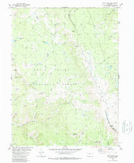 Piney Peak Colorado Historical topographic map, 1:24000 scale, 7.5 X 7.5 Minute, Year 1980
