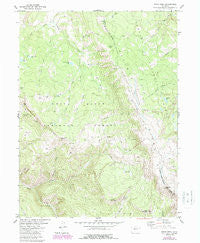 Piney Peak Colorado Historical topographic map, 1:24000 scale, 7.5 X 7.5 Minute, Year 1980