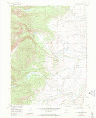 Pitchpine Mountain Colorado Historical topographic map, 1:24000 scale, 7.5 X 7.5 Minute, Year 1955