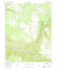 Placerville Colorado Historical topographic map, 1:24000 scale, 7.5 X 7.5 Minute, Year 1953