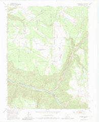 Placerville Colorado Historical topographic map, 1:24000 scale, 7.5 X 7.5 Minute, Year 1953