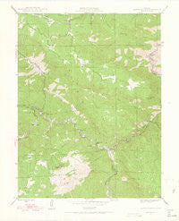 Platte Canyon Colorado Historical topographic map, 1:24000 scale, 7.5 X 7.5 Minute, Year 1945