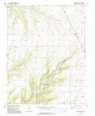 Pleasant View Colorado Historical topographic map, 1:24000 scale, 7.5 X 7.5 Minute, Year 1994