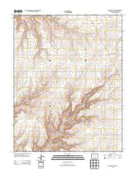Pleasant View Colorado Historical topographic map, 1:24000 scale, 7.5 X 7.5 Minute, Year 2013