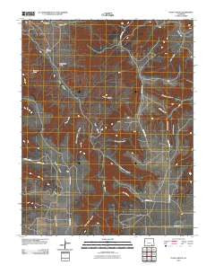 Plum Canyon Colorado Historical topographic map, 1:24000 scale, 7.5 X 7.5 Minute, Year 2010