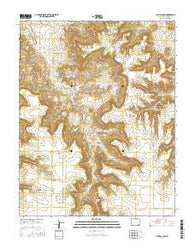 Plum Canyon Colorado Current topographic map, 1:24000 scale, 7.5 X 7.5 Minute, Year 2016