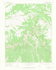 Point Lookout Colorado Historical topographic map, 1:24000 scale, 7.5 X 7.5 Minute, Year 1965