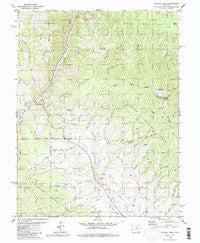 Poncha Pass Colorado Historical topographic map, 1:24000 scale, 7.5 X 7.5 Minute, Year 1980