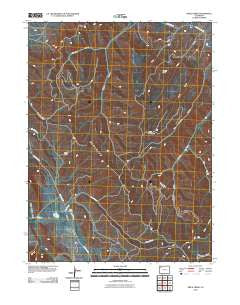 Price Creek Colorado Historical topographic map, 1:24000 scale, 7.5 X 7.5 Minute, Year 2010