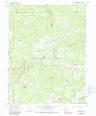 Quaker Mesa Colorado Historical topographic map, 1:24000 scale, 7.5 X 7.5 Minute, Year 1963