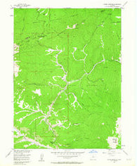 Radial Mountain Colorado Historical topographic map, 1:24000 scale, 7.5 X 7.5 Minute, Year 1956