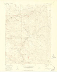 Radial Mountain Colorado Historical topographic map, 1:24000 scale, 7.5 X 7.5 Minute, Year 1956