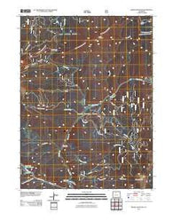 Radial Mountain Colorado Historical topographic map, 1:24000 scale, 7.5 X 7.5 Minute, Year 2011