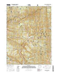 Radial Mountain Colorado Current topographic map, 1:24000 scale, 7.5 X 7.5 Minute, Year 2016