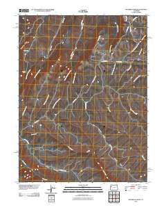 Razorback Ridge Colorado Historical topographic map, 1:24000 scale, 7.5 X 7.5 Minute, Year 2010