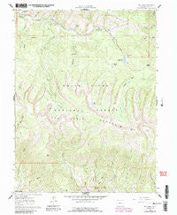 Red Creek Colorado Historical topographic map, 1:24000 scale, 7.5 X 7.5 Minute, Year 1961