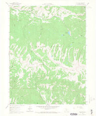 Red Creek Colorado Historical topographic map, 1:24000 scale, 7.5 X 7.5 Minute, Year 1961