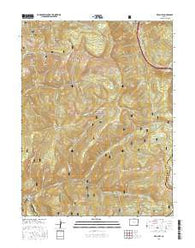 Red Cliff Colorado Current topographic map, 1:24000 scale, 7.5 X 7.5 Minute, Year 2016