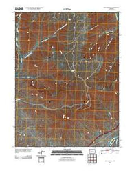 Red Pinnacle Colorado Historical topographic map, 1:24000 scale, 7.5 X 7.5 Minute, Year 2010