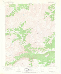 Redcloud Peak Colorado Historical topographic map, 1:24000 scale, 7.5 X 7.5 Minute, Year 1964