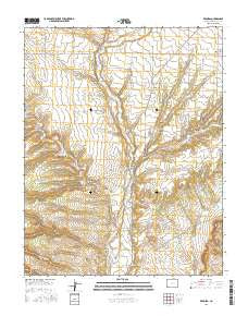 Redmesa Colorado Current topographic map, 1:24000 scale, 7.5 X 7.5 Minute, Year 2016