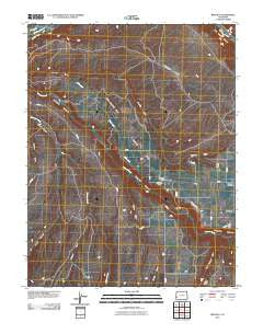 Redvale Colorado Historical topographic map, 1:24000 scale, 7.5 X 7.5 Minute, Year 2010