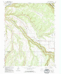 Redvale Colorado Historical topographic map, 1:24000 scale, 7.5 X 7.5 Minute, Year 1994