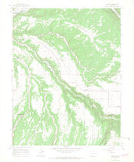 Redvale Colorado Historical topographic map, 1:24000 scale, 7.5 X 7.5 Minute, Year 1964