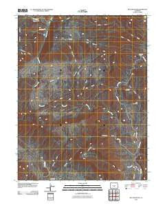 Rice Mountain Colorado Historical topographic map, 1:24000 scale, 7.5 X 7.5 Minute, Year 2010