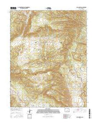 Rice Mountain Colorado Current topographic map, 1:24000 scale, 7.5 X 7.5 Minute, Year 2016