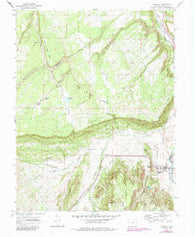 Ridgway Colorado Historical topographic map, 1:24000 scale, 7.5 X 7.5 Minute, Year 1967