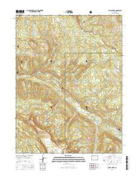 Ripple Creek Colorado Current topographic map, 1:24000 scale, 7.5 X 7.5 Minute, Year 2016
