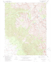 Rito Alto Peak Colorado Historical topographic map, 1:24000 scale, 7.5 X 7.5 Minute, Year 1980