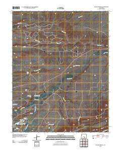 Ritter Arroyo Colorado Historical topographic map, 1:24000 scale, 7.5 X 7.5 Minute, Year 2010