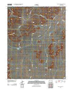 Rock Canyon Colorado Historical topographic map, 1:24000 scale, 7.5 X 7.5 Minute, Year 2010