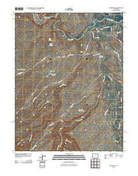 Roubideau Colorado Historical topographic map, 1:24000 scale, 7.5 X 7.5 Minute, Year 2010