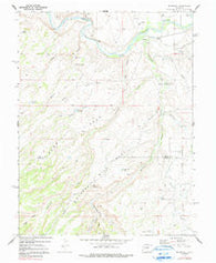 Roubideau Colorado Historical topographic map, 1:24000 scale, 7.5 X 7.5 Minute, Year 1969