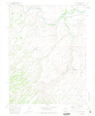 Roubideau Colorado Historical topographic map, 1:24000 scale, 7.5 X 7.5 Minute, Year 1969