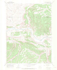Rough Gulch Colorado Historical topographic map, 1:24000 scale, 7.5 X 7.5 Minute, Year 1966