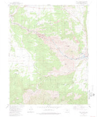 Royal Gorge Colorado Historical topographic map, 1:24000 scale, 7.5 X 7.5 Minute, Year 1980