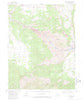 Royal Gorge Colorado Historical topographic map, 1:24000 scale, 7.5 X 7.5 Minute, Year 1980