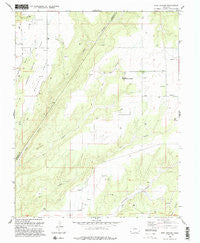 Ruin Canyon Colorado Historical topographic map, 1:24000 scale, 7.5 X 7.5 Minute, Year 1994