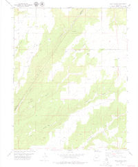 Ruin Canyon Colorado Historical topographic map, 1:24000 scale, 7.5 X 7.5 Minute, Year 1979