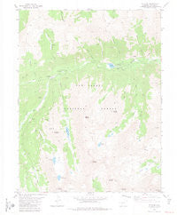Saint Elmo Colorado Historical topographic map, 1:24000 scale, 7.5 X 7.5 Minute, Year 1982
