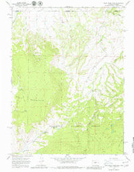 Sand Creek Pass Colorado Historical topographic map, 1:24000 scale, 7.5 X 7.5 Minute, Year 1967