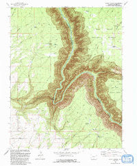 Secret Canyon Colorado Historical topographic map, 1:24000 scale, 7.5 X 7.5 Minute, Year 1993