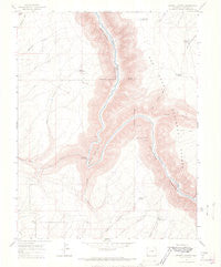 Secret Canyon Colorado Historical topographic map, 1:24000 scale, 7.5 X 7.5 Minute, Year 1964