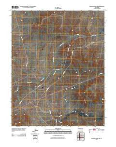 Sentinel Peak SW Colorado Historical topographic map, 1:24000 scale, 7.5 X 7.5 Minute, Year 2010