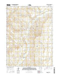 Shamrock SE Colorado Current topographic map, 1:24000 scale, 7.5 X 7.5 Minute, Year 2016
