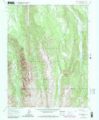 Sheep Mountain Colorado Historical topographic map, 1:24000 scale, 7.5 X 7.5 Minute, Year 1963